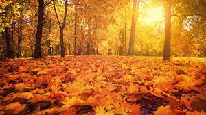 AUTUMN 1920w
